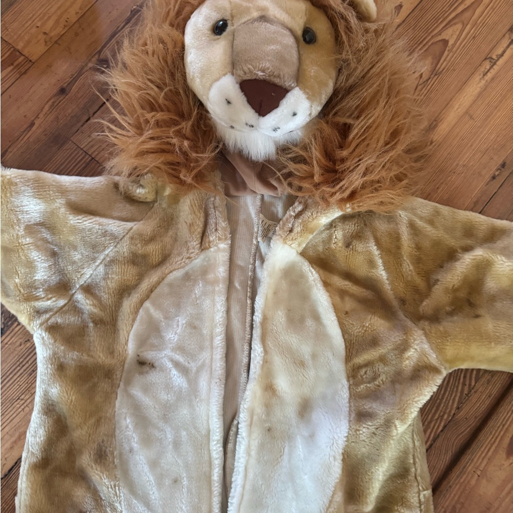 Well designed Lion costume